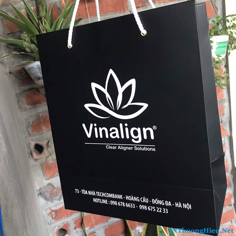 In túi giấy cho thương hiệu Vinalign