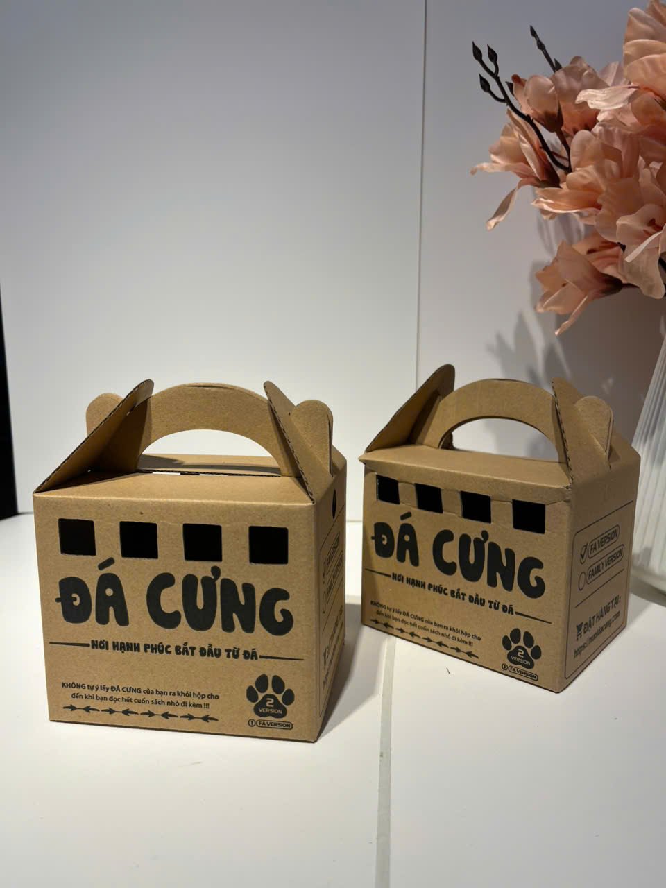 Hình ảnh sản phẩm bao bì carton thực tế 6